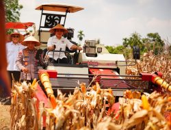 Bukan Cuma Jaga Kamtibmas, Polres Barru Kawal 1.218 Ton Jagung Petani Masuk Bulog