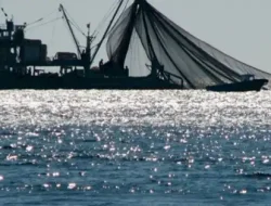 DPRD Barru Dukung Nelayan Tradisional, Desak Penegakan Larangan Pukat Harimau